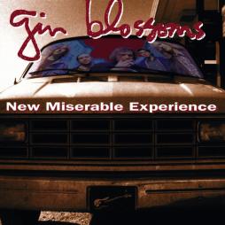 New_Miserable_Experience-Gin_Blossoms