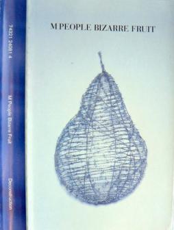 Bizarre Fruit di M People - musicasset