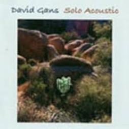 Solo_Acoustic-David_Gans