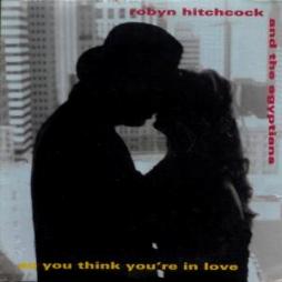 So You Think You're In Love di Robyn Hitchcock - CD
