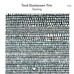 Seeing-Tord_Gustavsen