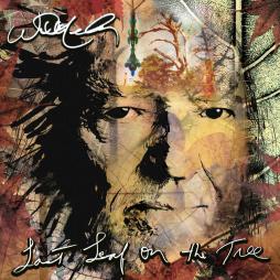 Last_Leaf_On_The_Tree-Willie_Nelson