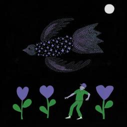 The Purple Bird di Bonnie "prince" Billy - LP The Purple Bird di Bonnie "prince" Billy - LP