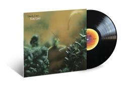 Katy Lied di Steely Dan - LP