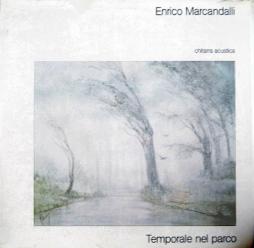 Temporale Nel Parco di Enrico Marcandalli - LP