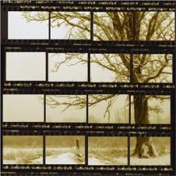The_Piano_Tribute_To_Neil_Young-David_Ari_Leon