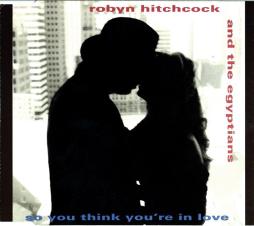 So_You_Think_Youre_In_Love-Robyn_Hitchcock_%26_The_Egyptians