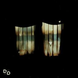 Insatiable di Divide And Dissolve - CD Insatiable di Divide And Dissolve - CD