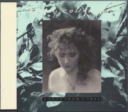 A_Leaf_From_A_Tree-Mary_Coughlan