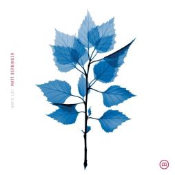 Get Sunk di Matt Berninger - CD