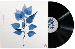 Get Sunk di Matt Berninger - CD