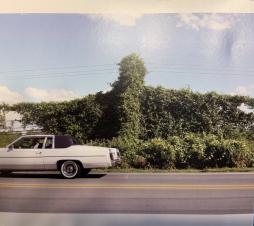 When_I_Go_I_Ghost-Cory_Branan When_I_Go_I_Ghost-Cory_Branan