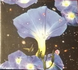 Nighttime Birds And Morning Stars di Sarah Louise (5) - CD