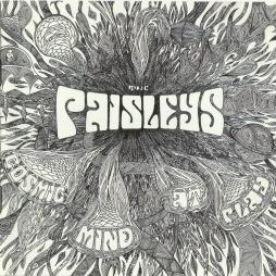 Cosmic Mind At Play di The Paisleys - CD