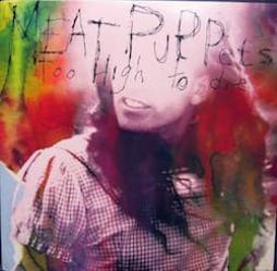 Too_High_To_Die-Meat_Puppets