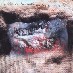 Un Lungo Cammino di Gerardo Cardinale - LP