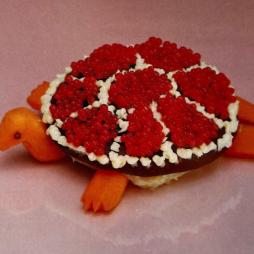 Turtle Rock di Sharp Pins - LP