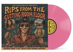 Rips From The Cutting Room Floor di Waterboys