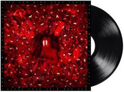 Hen's Teeth di Iron &amp; Wine - LP