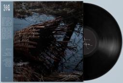 Sùrtum di Massimo Silverio