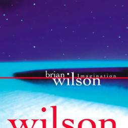 Imagination di Brian Wilson - LP
