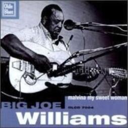 Malvina My Sweet Woman di Big Joe Williams - CD