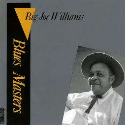 Blues Masters, Vol. 2 di Big Joe Williams