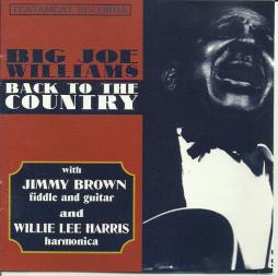 Back To The Country  di Big Joe Williams