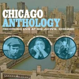 Recorded Live At Big John's, Chicago di Chicago Anthology - CD