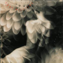 Angel Street di Anthony Williams - LP