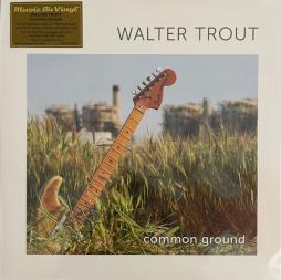 Common Ground di Walter Trout