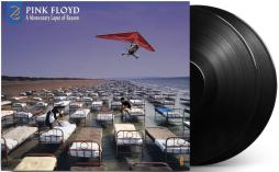 A Momentary Lapse Of Reason di Pink Floyd - LP A Momentary Lapse Of Reason di Pink Floyd - LP