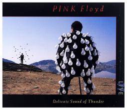 Delicate Sound Of Thunder di Pink Floyd