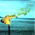 A Man About A Horse di Steve Tibbetts - CD A Man About A Horse di Steve Tibbetts - CD