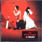 Elephant-White_Stripes