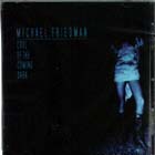 Cool_Of_The_Coming_Dark-Michael_Friedman
