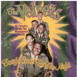 Tonight Could Be The Night di Velvets