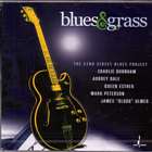 Blues_&_Grass-James_Blood_Ulmer