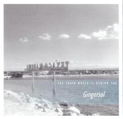 Nothing Stops Moving di Gingersol - CD