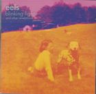 Blinking_Lights-Eels