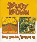 Raw_Sienna_/_Looking_In-Savoy_Brown