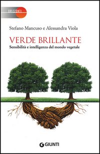 Verde_Brillante_-Mancuso_Stefano_Viola_Alessand