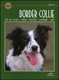 Border_Collie_-Rossi_Valeria