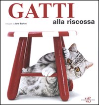 Gatti_Alla_Riscossa_-Burton_Jane