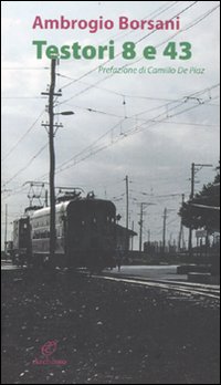 Testori 8 E 43  di Borsani Ambrogio - libri