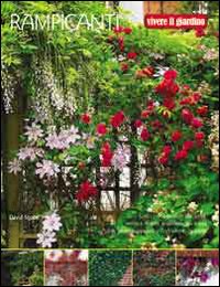 Rampicanti  di Aa.vv. - Libro Rampicanti  di Aa.vv. - Libro