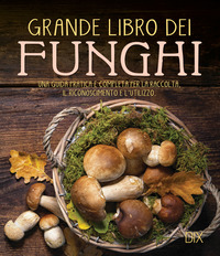 Grande_Libro_Dei_Funghi_Una_Guida_Pratica_E_Completa_Per_La_Raccolta%2C_Il_Riconoscimento_E_L%60uti..._-Aa.vv.