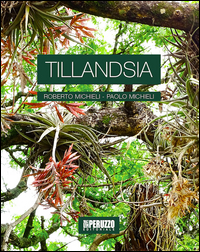 Tillandsia_-Michieli_Roberto_Michieli_Paol