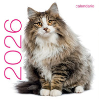 Gatti. Calendario Da Muro 2026  di Aa.vv. - libri